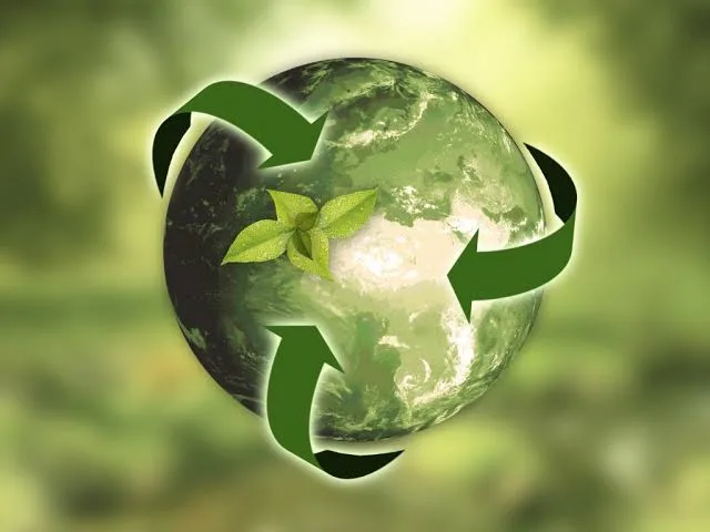 SWANARI GREEN SUSTAINABILITY